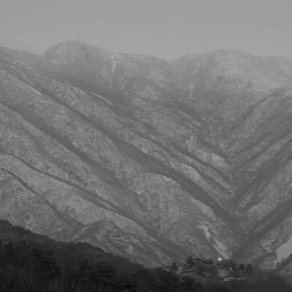 철원 철새 탐조 영상. 민간인출입통제구역. 두루미. 잔잔 스튜디오